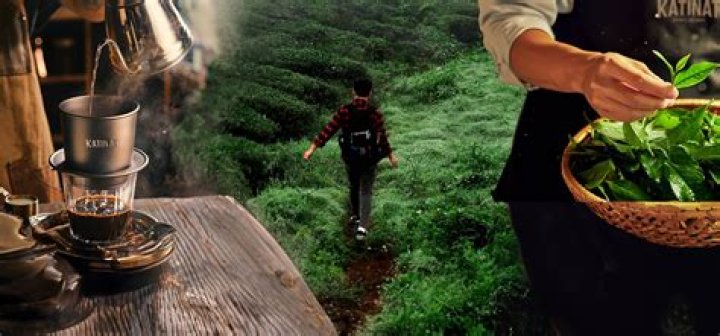 A Journey To Discover Her Wealth And Success