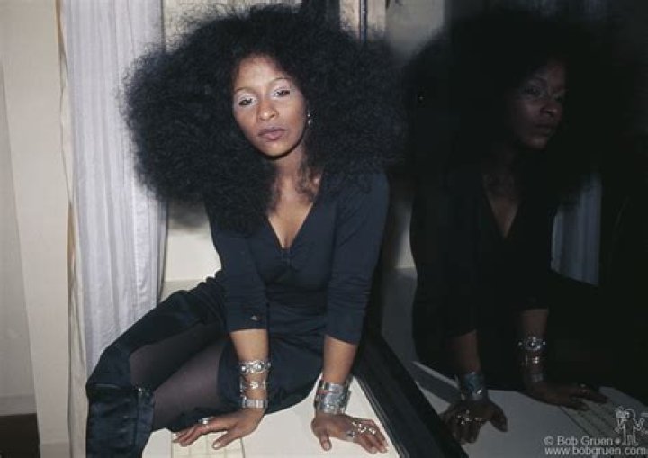 Chaka Khan Real Hair: The Iconic Style and Secrets Behind Her Look