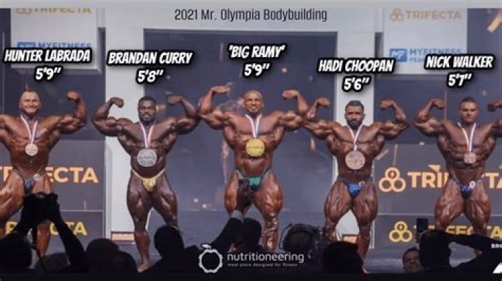 Clint Walker Height and Weight: A Comprehensive Look at the Iconic Actor's Physical Attributes