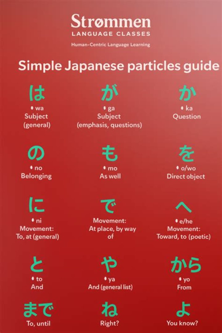 Comprehensive Guide to Saying "I Don't Understand" in Japanese