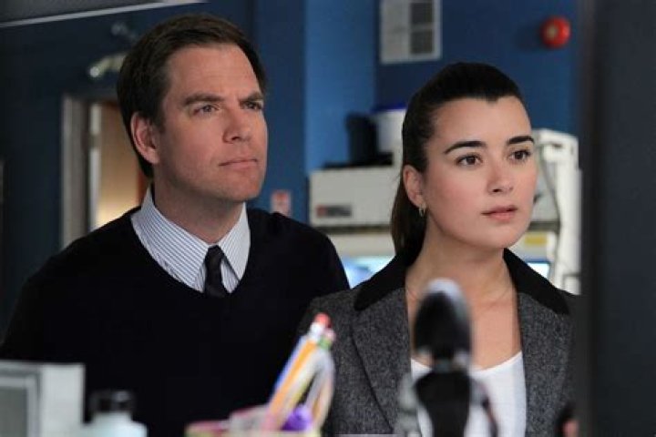 Cote de Pablo Married Michael Weatherly: The Untold Story of Their Relationship