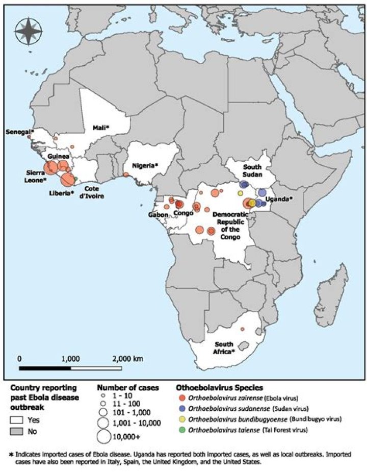 Current Stomach Virus Outbreak Map 2024: Understanding the Latest Trends and Data