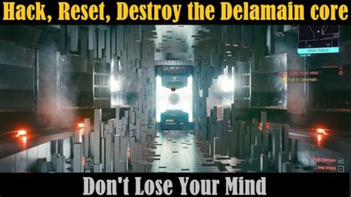 Delamain Destroy or Reset: A Comprehensive Guide to Understanding the Phenomenon
