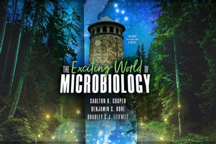 Discover the Exciting World of Diddy Race