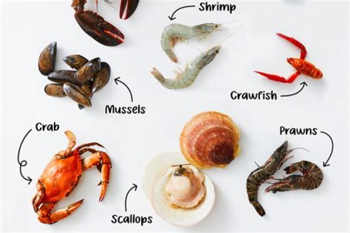 Exploring Seafood in Japanese Language: A Comprehensive Guide for Food Enthusiasts