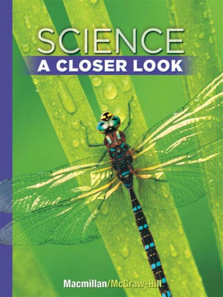 Exploring the Life and Challenges of Steve Harvey: A Closer Look