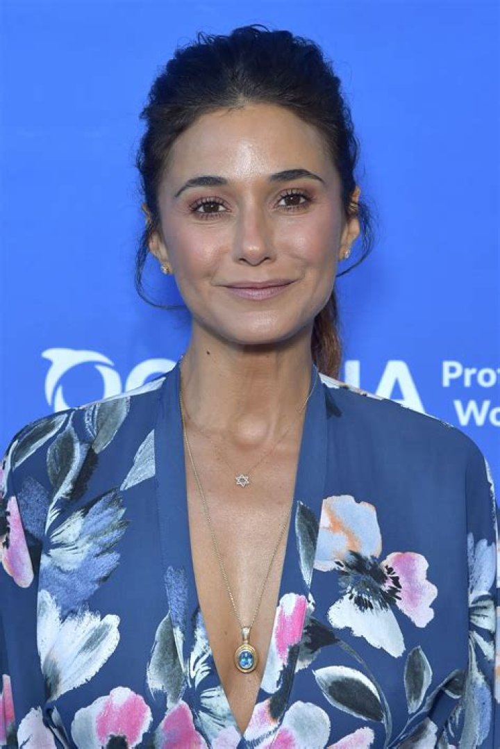 Exploring the Remarkable Journey of Emmanuelle Chriqui