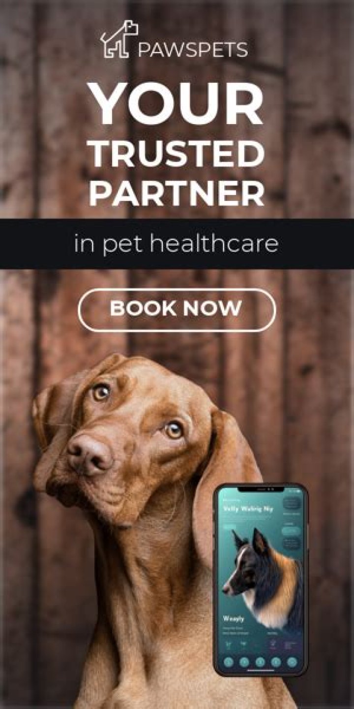 Fries Veterinary Clinic: Your Trusted Partner in Pet Healthcare