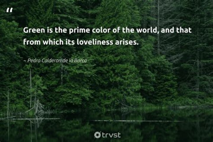 Green Grass Quotes Life: Inspiring Words to Elevate Your Journey