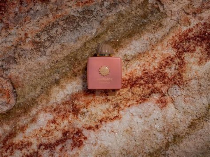 Harry Styles and Diddy: A Deep Dive Into Their Musical Journeys and Collaborations