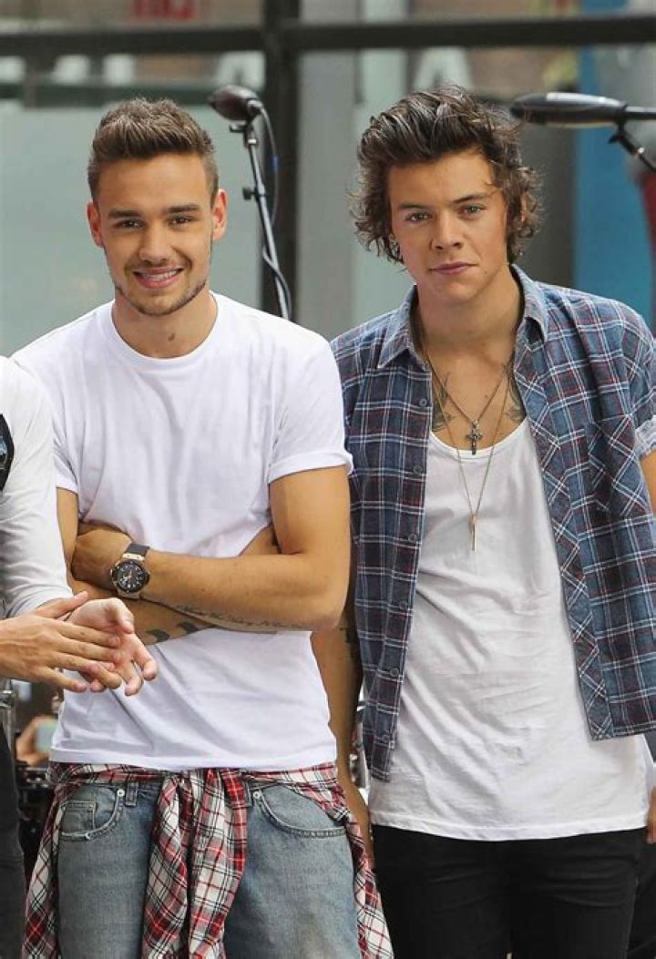 Harry Styles and Liam Payne Relationship: A Deep Dive into Their Friendship and Journey
