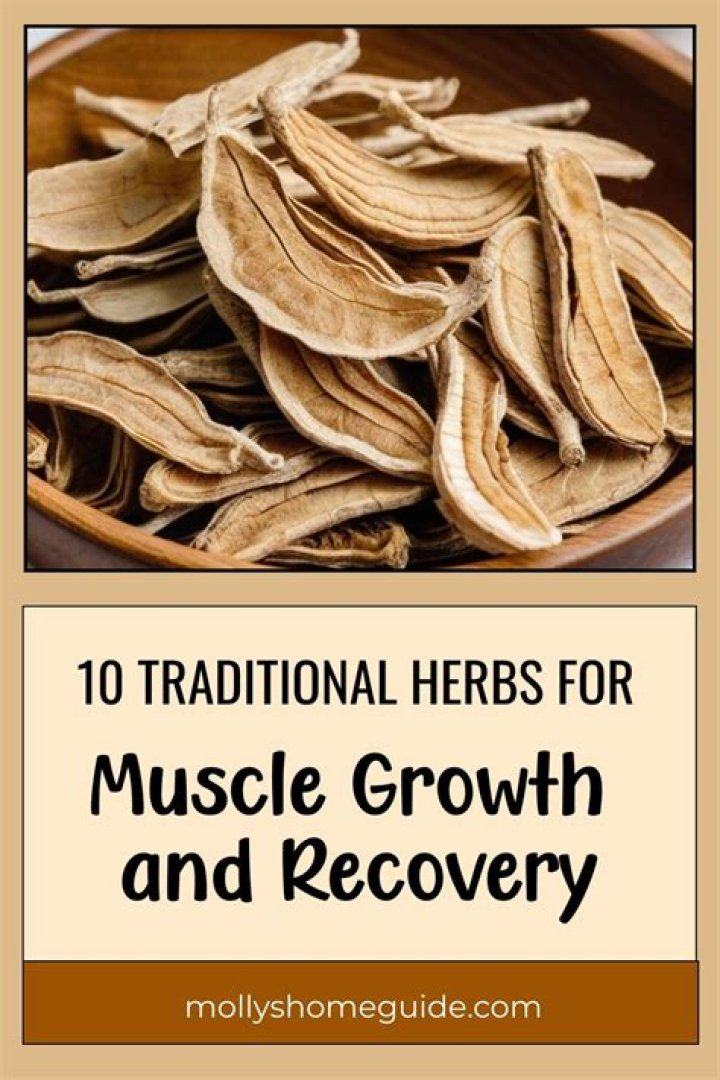 Herbs for Muscle Gain: Unlocking the Natural Path to Building Strength