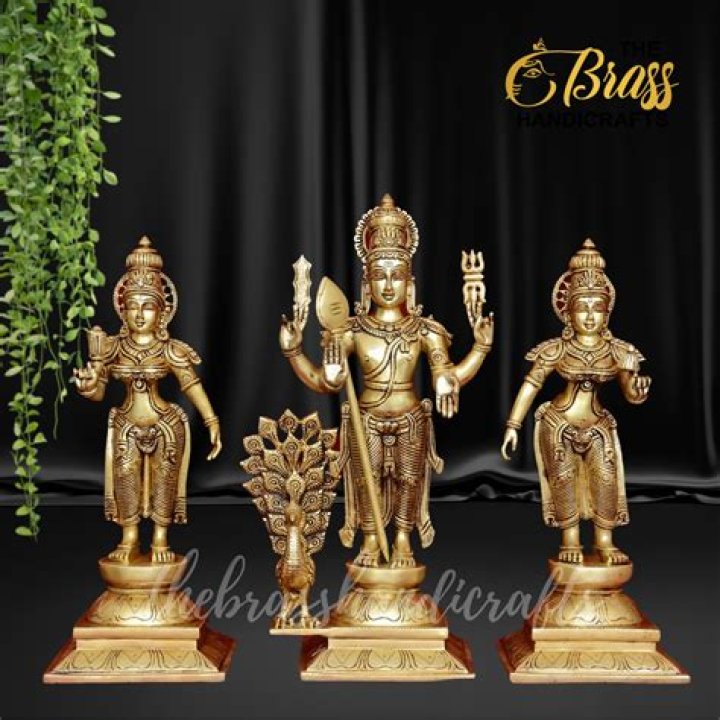 How Old Is Valli? Exploring the Life, Career, and Age of Valli