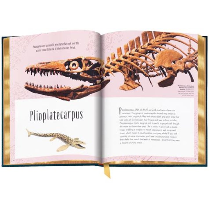 Phil Leeds: The Complete Guide to Movies and TV Shows