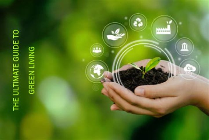 Plug Costa Rica: Your Ultimate Guide to Sustainable Living in Paradise