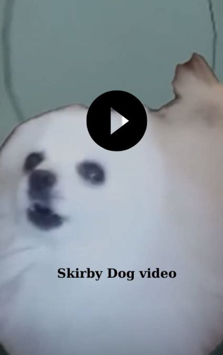 Skirby Dog Video: The Ultimate Guide to Understanding and Enjoying Skirby Dog Content