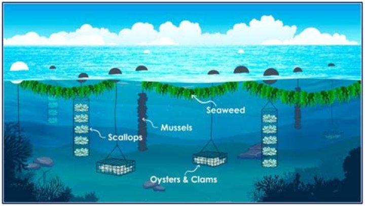 Spring Twist: Unleashing the Power of Nature’s Rejuvenation