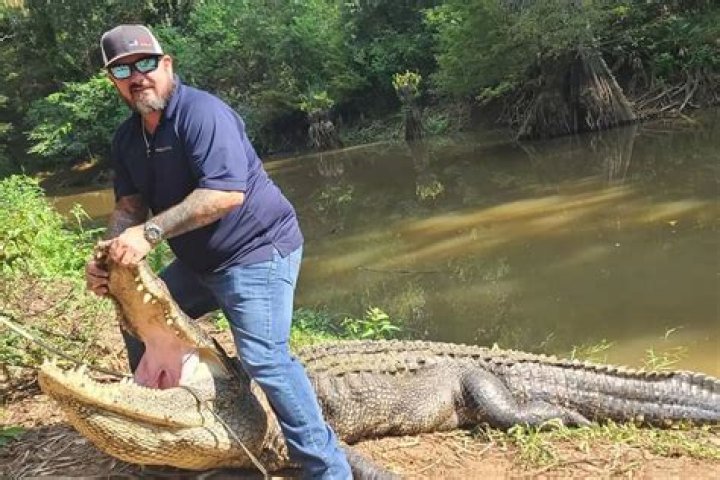 Swamp People: A Deep Dive into the Lives of Alligator Hunters in Louisiana
