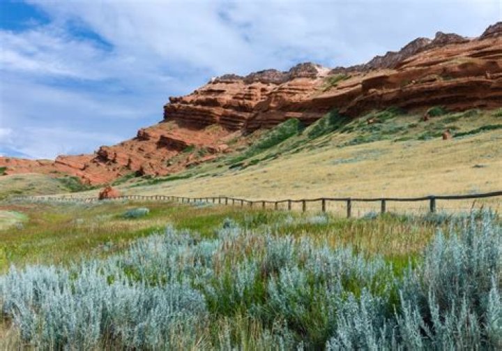 Top Billings Things to Do: A Comprehensive Guide for Exploring Montana's Hidden Gem