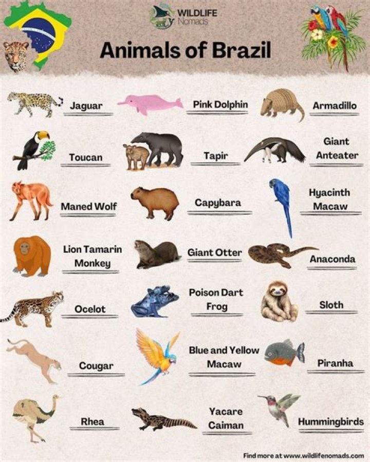 Uncover The Secrets Of Donna Brazile's Wealth And Influence