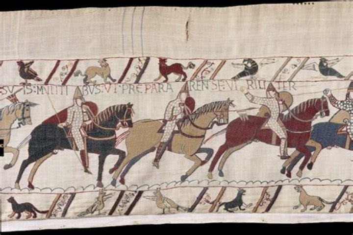 Uncovering The Tapestry Of Her Ethnic Heritage