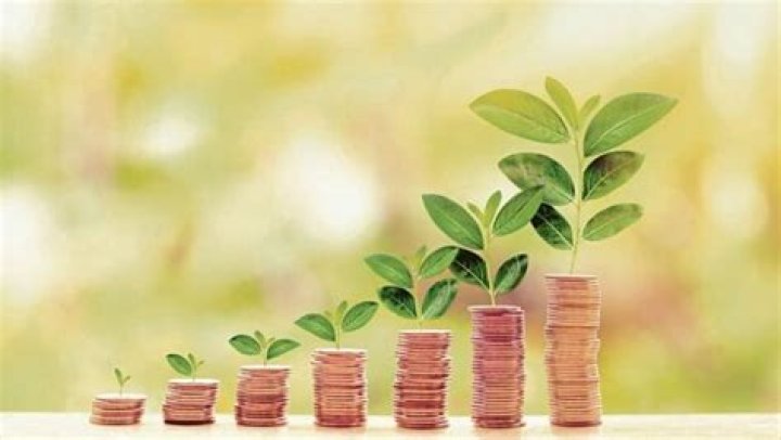 Unraveling Wealth, Investments, And Success