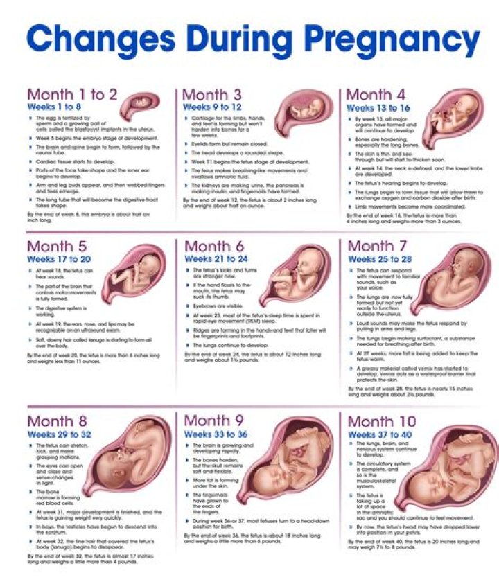 When Is Kat's Baby Due? A Comprehensive Guide to Kat's Pregnancy Journey